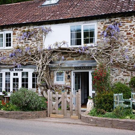 Bed and Breakfast The Bark House Oakford Exterior foto