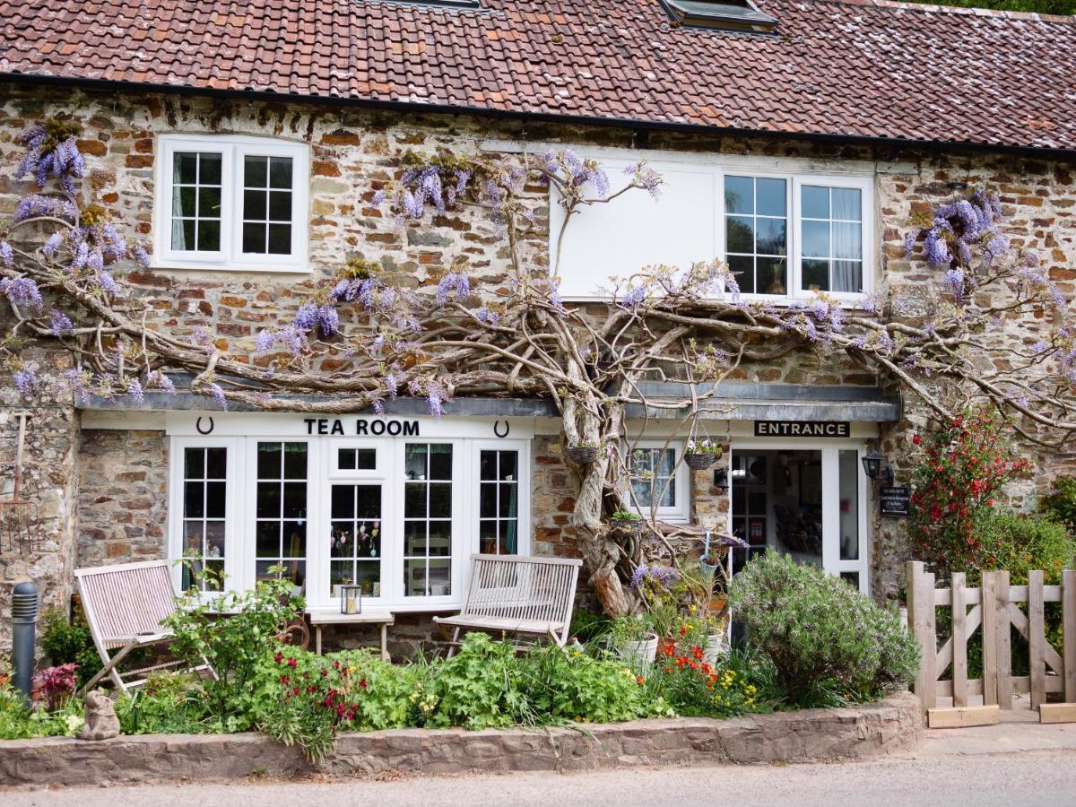 Bed and Breakfast The Bark House Oakford Exterior foto